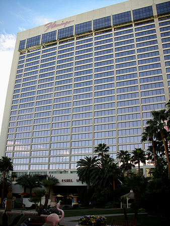 The Flamingo Hotel