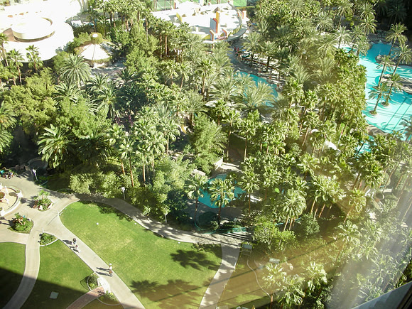The Flamingo Hotel