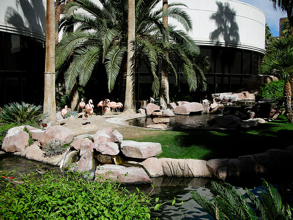 The Flamingo Hotel