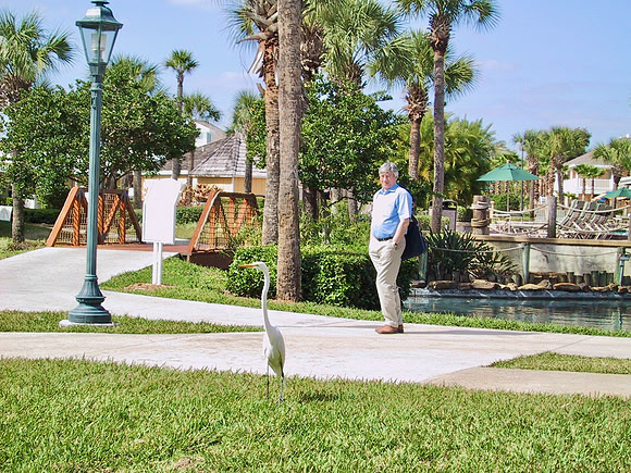 2001 02 - Orlando, FL, USA - 5 of 32