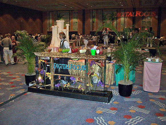 2001 02 - Orlando, FL, USA - 7 of 32