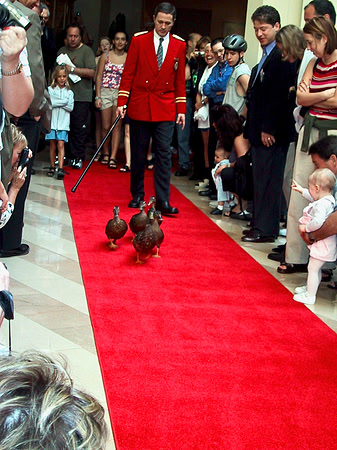 2001 02 - Orlando, FL, USA - 11 of 32