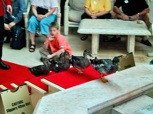 2001 02 - Orlando, FL, USA - 12 of 32