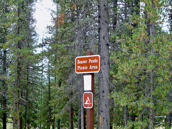 2002 08 29 - Rocky Mountains, CO, USA - 18 of 27