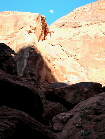2009 03 05 - Valley of Fire, NV, USA - 22 of 45